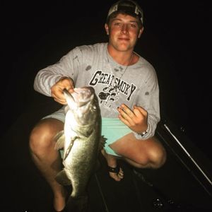 Meet your Posher, Colt